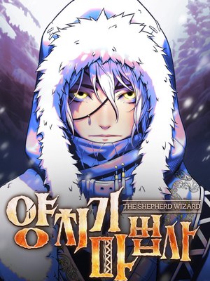 The Shepherd Wizard cover